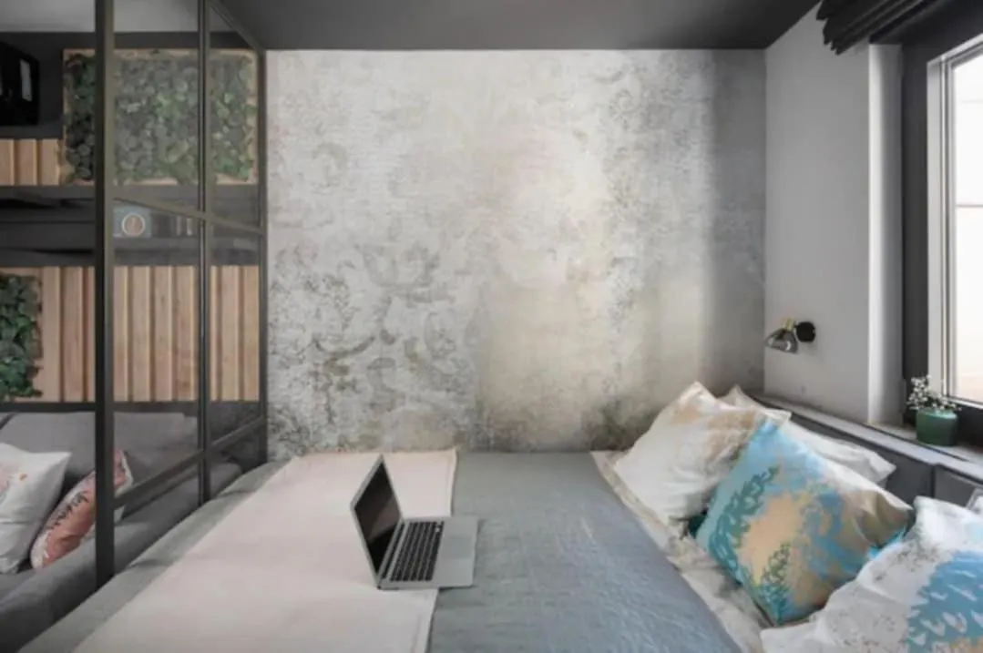 Novigrad Ema 2 Apartment