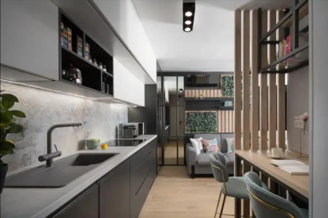Novigrad Ema 2 Apartment